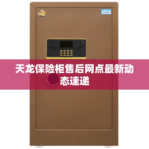 天龙保险柜售后网点最新动态速递 天龙保险柜售后网点最新动态速递