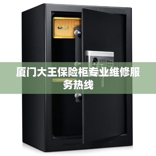 厦门大王保险柜专业维修服务热线 厦门大王保险柜专业维修服务热线