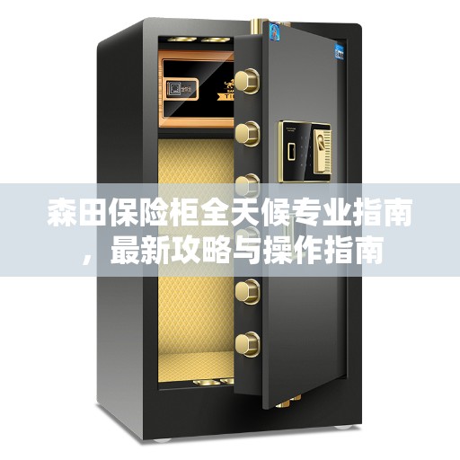 森田保险柜全天候专业指南，最新攻略与操作指南