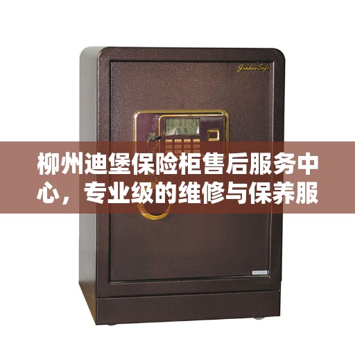 柳州迪堡保险柜售后服务中心，专业级的维修与保养服务