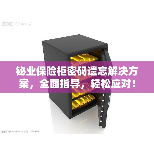 铋业保险柜密码遗忘解决方案，全面指导，轻松应对！