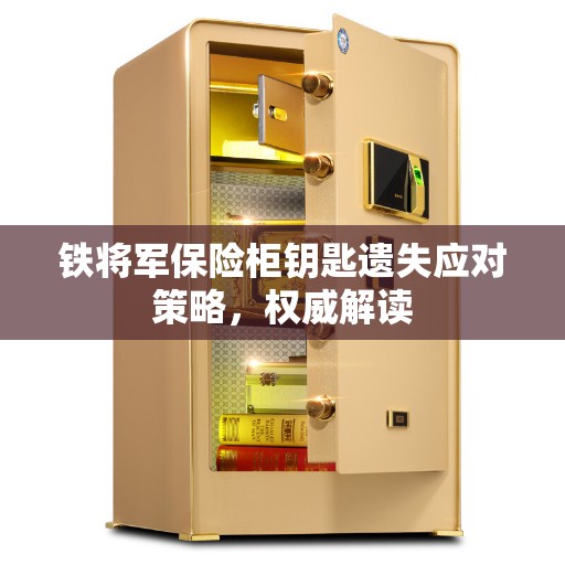 铁将军保险柜钥匙遗失应对策略，权威解读