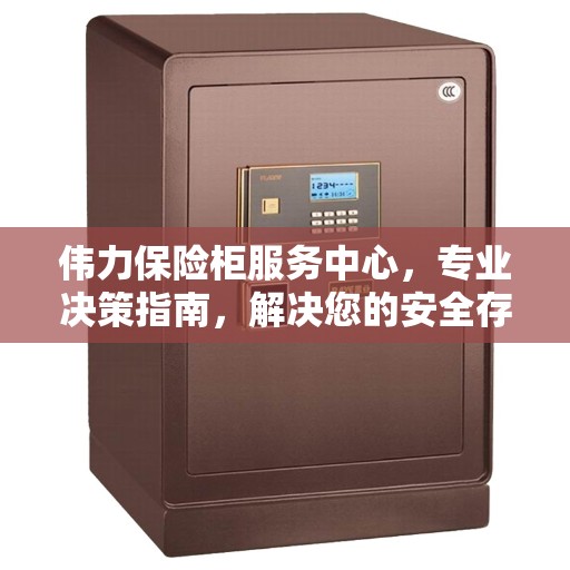 伟力保险柜服务中心，专业决策指南，解决您的安全存储需求
