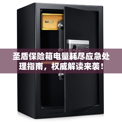 圣盾保险箱电量耗尽应急处理指南，权威解读来袭！
