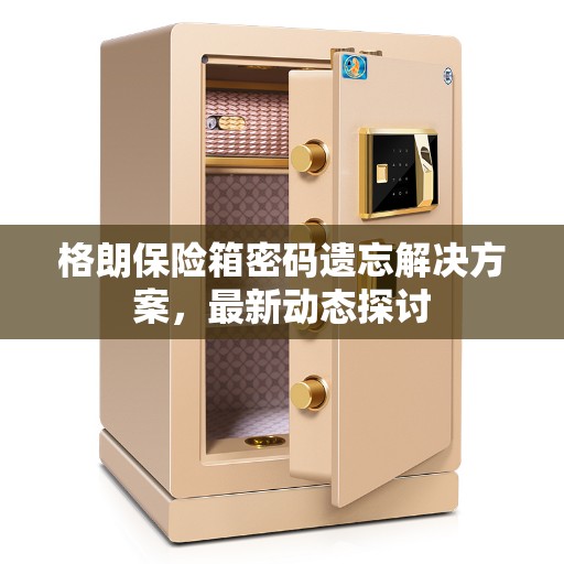 格朗保险箱密码遗忘解决方案，最新动态探讨