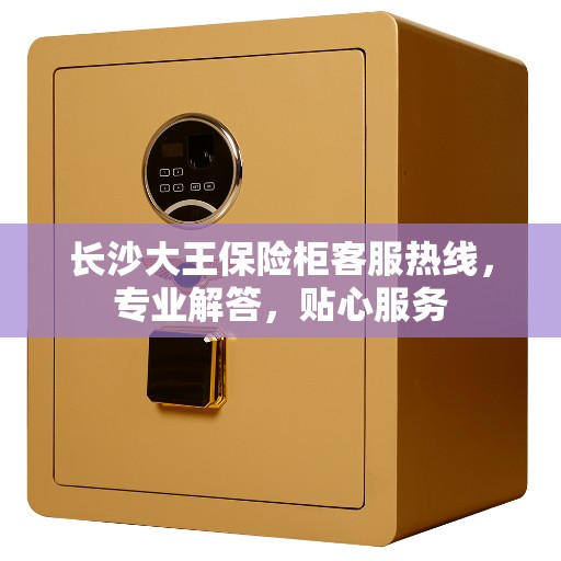 长沙大王保险柜客服热线，专业解答，贴心服务