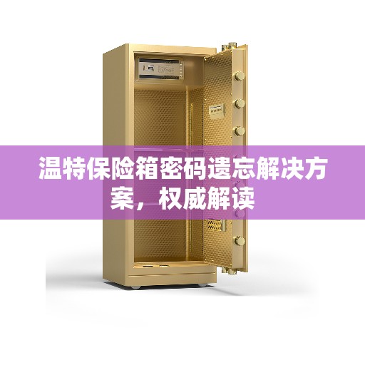 温特保险箱密码遗忘解决方案，权威解读