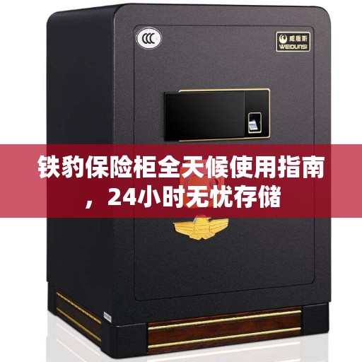 铁豹保险柜全天候使用指南，24小时无忧存储