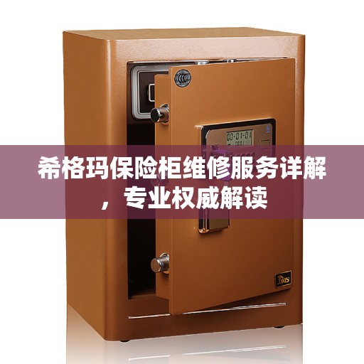 希格玛保险柜维修服务详解，专业权威解读