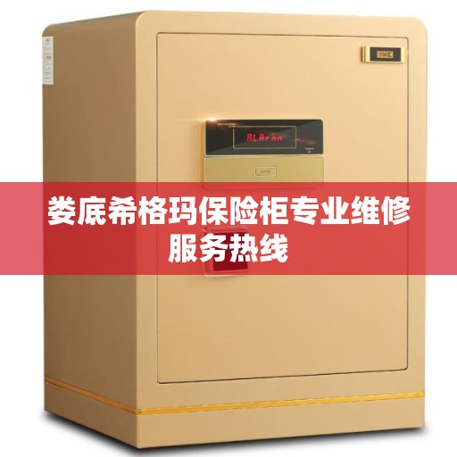 娄底希格玛保险柜专业维修服务热线 娄底希格玛保险柜专业维修服务热线