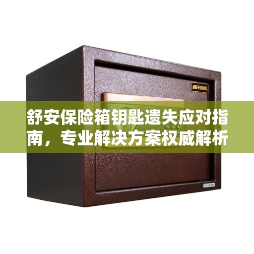 舒安保险箱钥匙遗失应对指南,专业解决方案权威解析 舒安保险箱钥匙遗失应对指南,专业解决方案权威解析