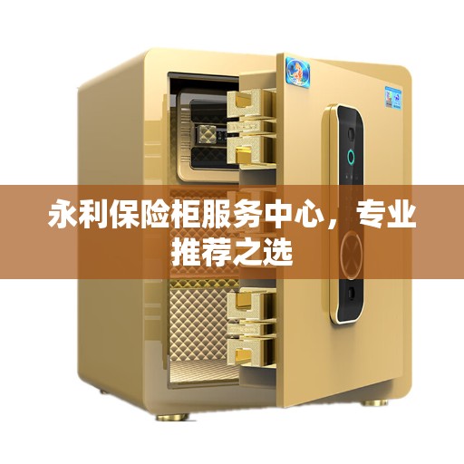 永利保险柜服务中心，专业推荐之选