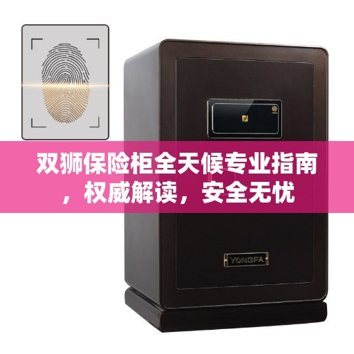 双狮保险柜全天候专业指南，权威解读，安全无忧