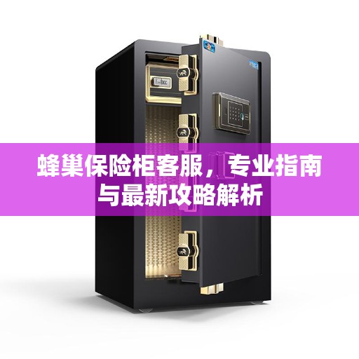 蜂巢保险柜客服，专业指南与最新攻略解析