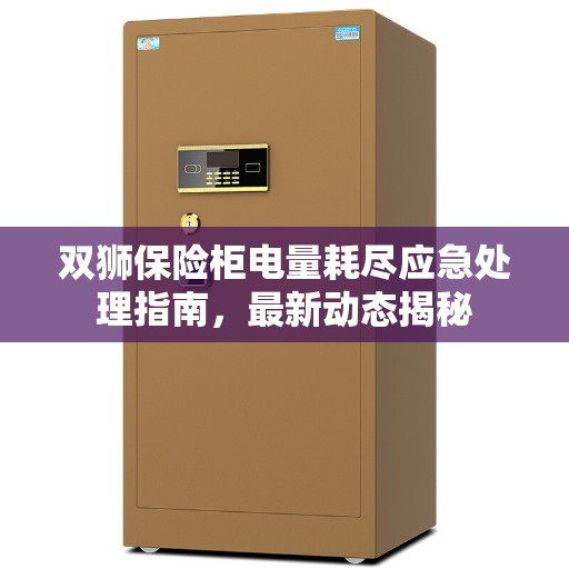 双狮保险柜电量耗尽应急处理指南，最新动态揭秘