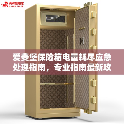 爱斐堡保险箱电量耗尽应急处理指南,专业指南最新攻略 爱斐堡保险箱电量耗尽应急处理指南,专业指南最新攻略