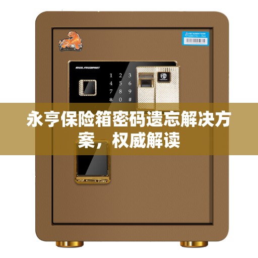 永亨保险箱密码遗忘解决方案，权威解读