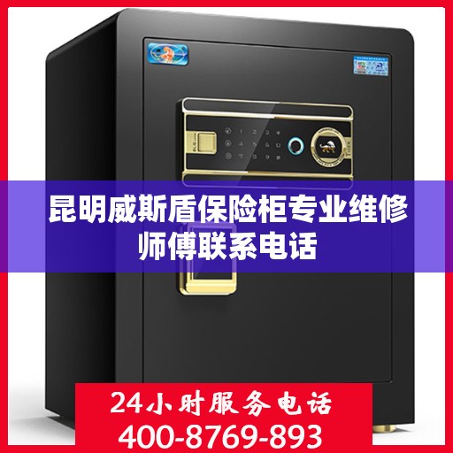 昆明威斯盾保险柜专业维修师傅联系电话