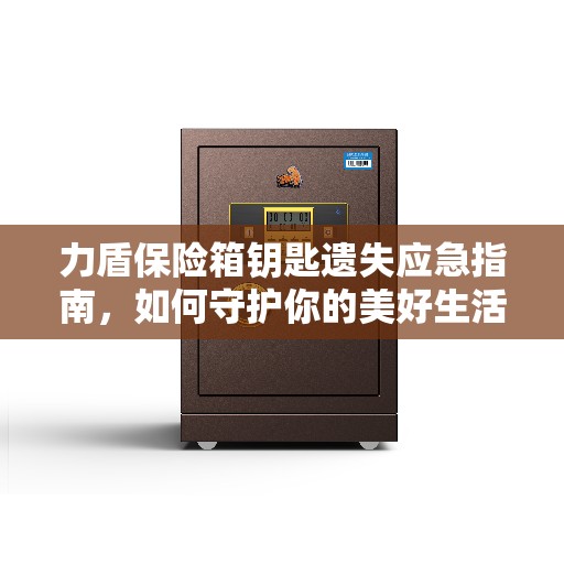 力盾保险箱钥匙遗失应急指南，如何守护你的美好生活？