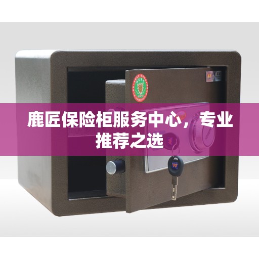 鹿匠保险柜服务中心，专业推荐之选