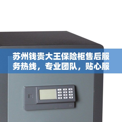 苏州钱贵大王保险柜售后服务热线，专业团队，贴心服务