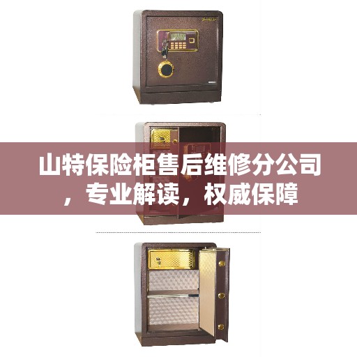 山特保险柜售后维修分公司，专业解读，权威保障
