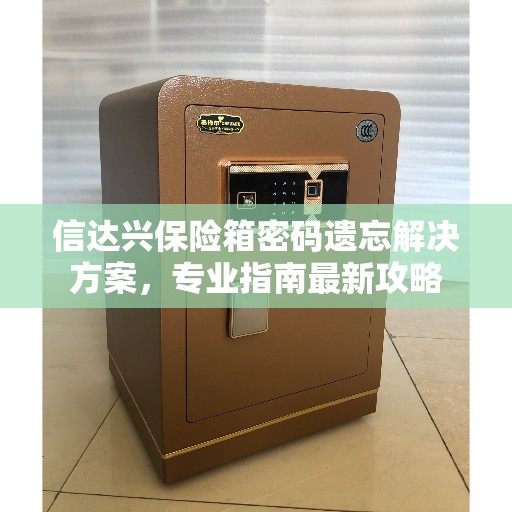 信达兴保险箱密码遗忘解决方案,专业指南最新攻略 信达兴保险箱密码遗忘解决方案,专业指南最新攻略