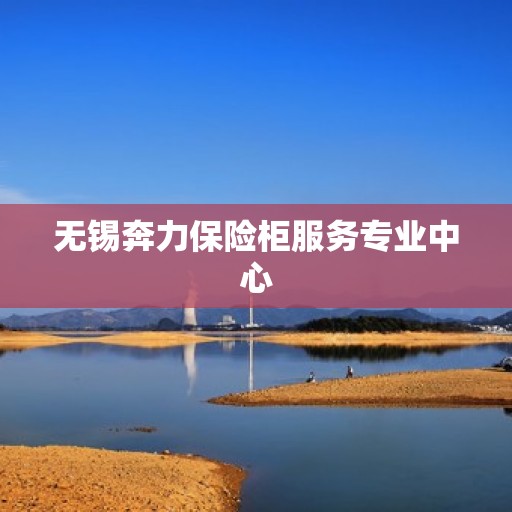 无锡奔力保险柜服务专业中心