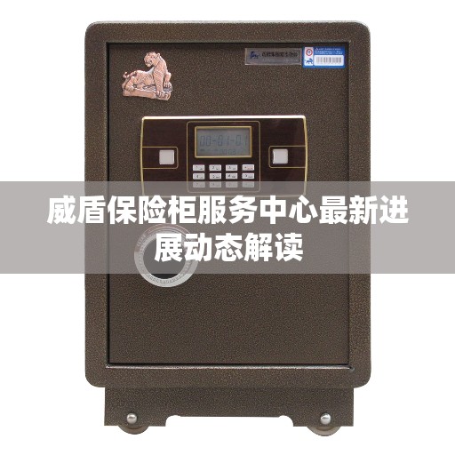 威盾保险柜服务中心最新进展动态解读