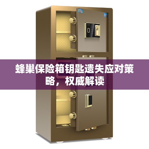 蜂巢保险箱钥匙遗失应对策略，权威解读