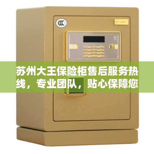 苏州大王保险柜售后服务热线，专业团队，贴心保障您的安全存储需求
