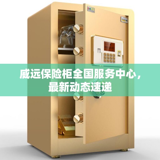 威远保险柜全国服务中心，最新动态速递