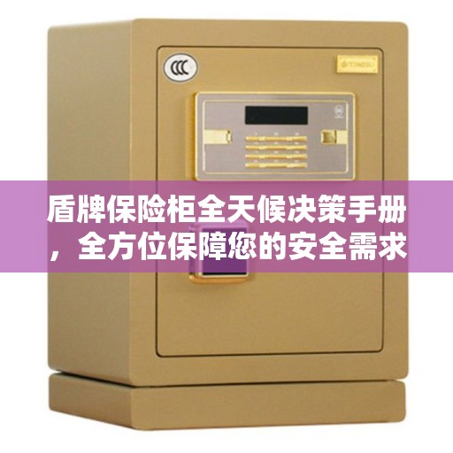 盾牌保险柜全天候决策手册，全方位保障您的安全需求