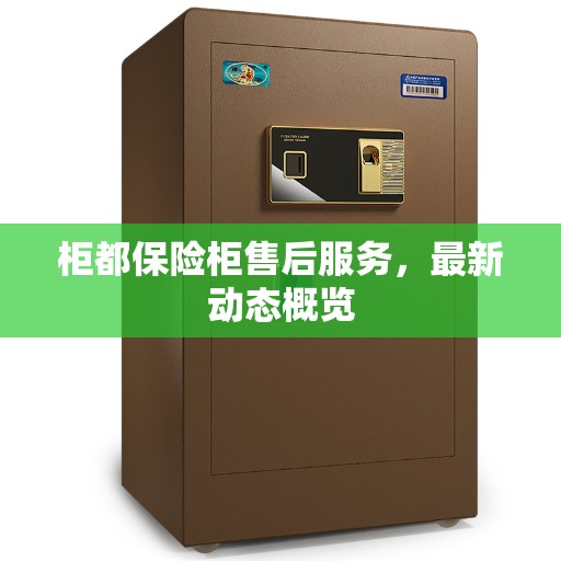柜都保险柜售后服务，最新动态概览