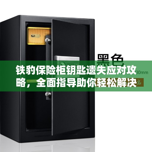 铁豹保险柜钥匙遗失应对攻略，全面指导助你轻松解决！