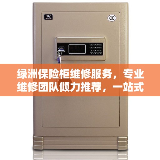 绿洲保险柜维修服务，专业维修团队倾力推荐，一站式解决您的保险柜问题