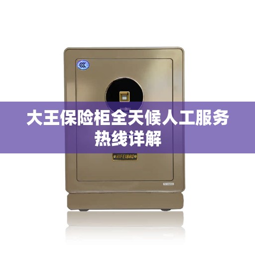 大王保险柜全天候人工服务热线详解