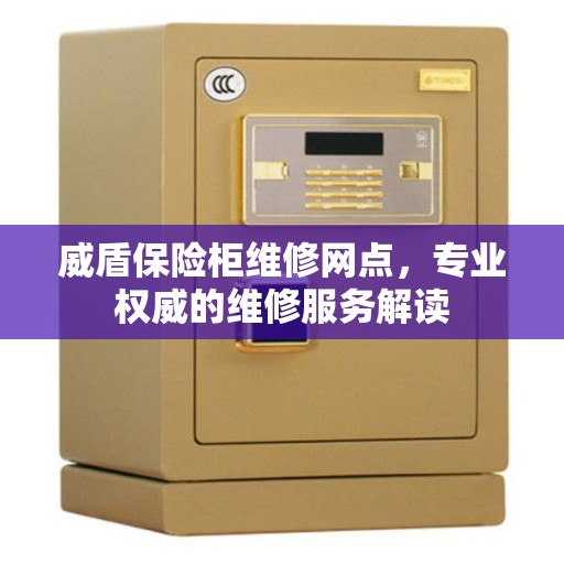 威盾保险柜维修网点，专业权威的维修服务解读