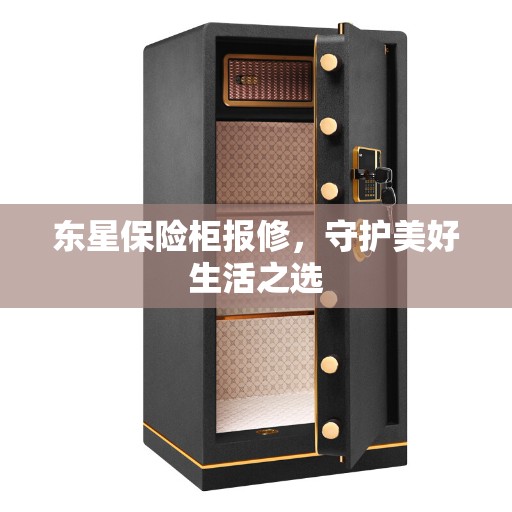 东星保险柜报修，守护美好生活之选