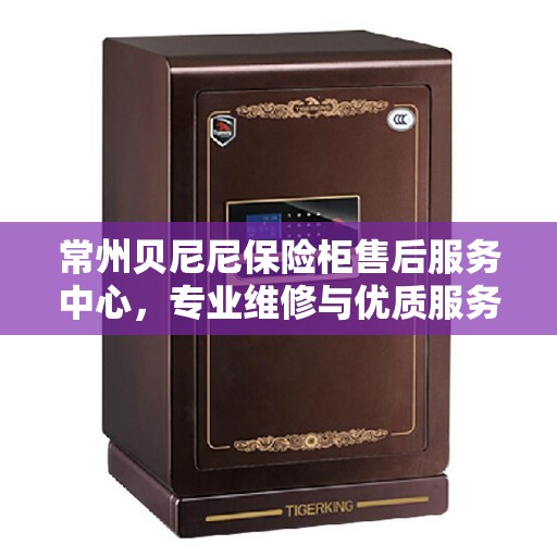 常州贝尼尼保险柜售后服务中心，专业维修与优质服务并重