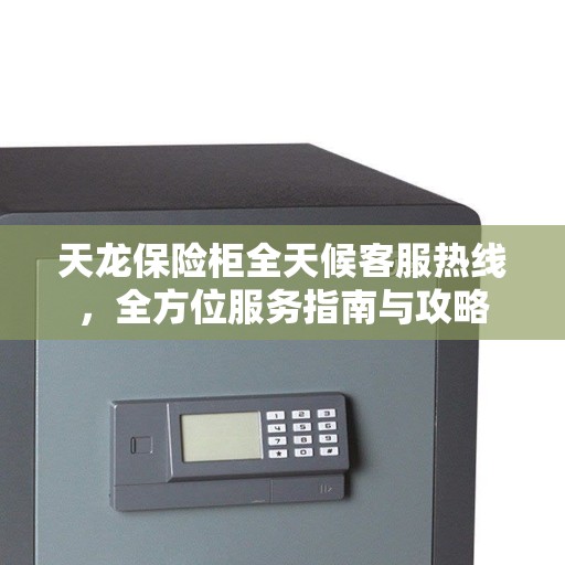 天龙保险柜全天候客服热线，全方位服务指南与攻略