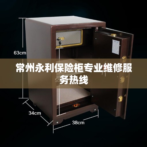 常州永利保险柜专业维修服务热线