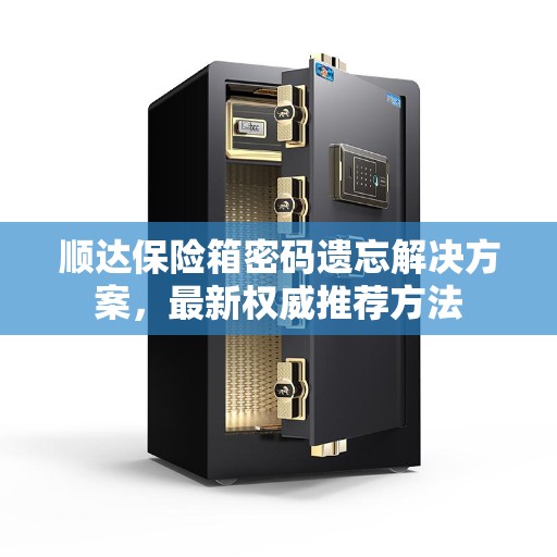 顺达保险箱密码遗忘解决方案，最新权威推荐方法