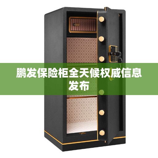 鹏发保险柜全天候权威信息发布