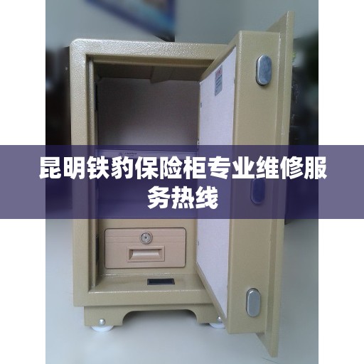 昆明铁豹保险柜专业维修服务热线 昆明铁豹保险柜专业维修服务热线