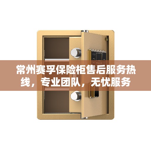 常州赛孚保险柜售后服务热线，专业团队，无忧服务