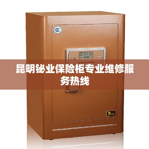 昆明铋业保险柜专业维修服务热线