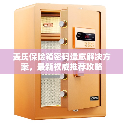麦氏保险箱密码遗忘解决方案，最新权威推荐攻略