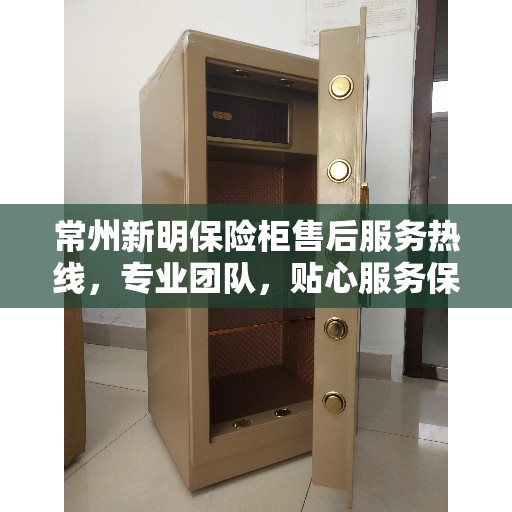 常州新明保险柜售后服务热线，专业团队，贴心服务保障您的安全需求