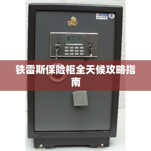 铁雷斯保险柜全天候攻略指南